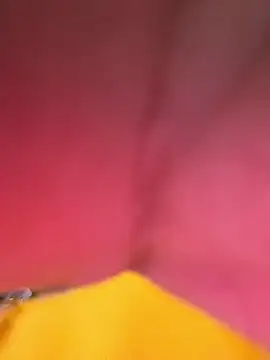 Huitaca  online show from 12/18/25, 06:18