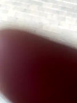 kamo012000 online show from 10/09/25, 02:39