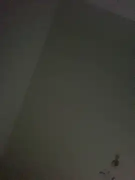cariocasafada online show from 07/03/26, 04:52