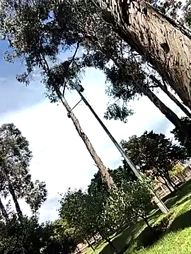 Yaya watson online show from 04/01/26, 06:38