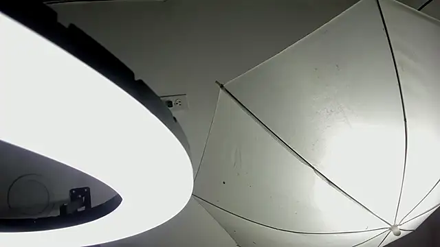 Starbutterflyy  online show from 04/03/26, 04:41