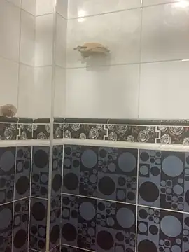 malek xarx  online show from 02/24/26, 01:50