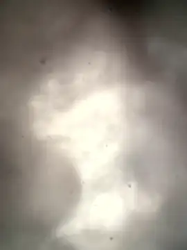 Lamar180 online show from 01/13/26, 04:22