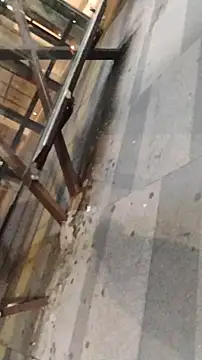 LeoMaduroSP online show from 01/09/26, 11:33