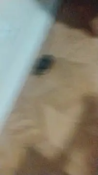 LeoMaduroSP online show from 01/17/26, 12:48