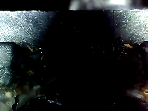 20cmloiro online show from 04/10/26, 07:04