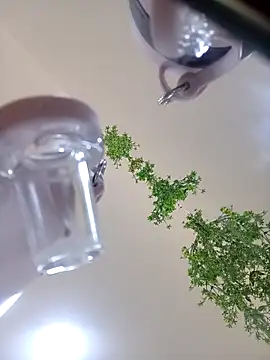 Snapshot of Samantha_hotly chatting on 10/31/25, 02:02 Samantha hotly online show from 10/31/25, 02:02