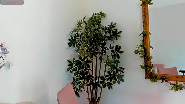 valerieMattson online show from 10/15/25, 04:15