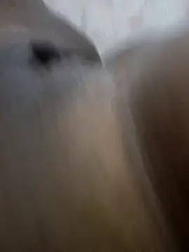 morenappkuda online show from 11/29/25, 01:33