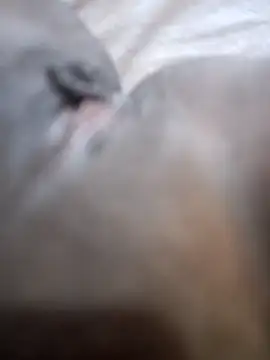 morenappkuda online show from 10/01/25, 06:56