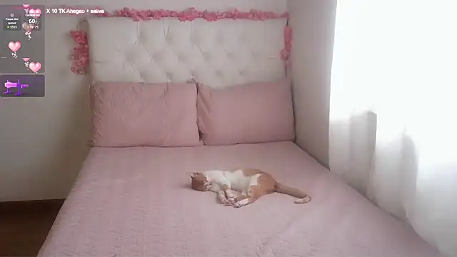 AbrilVelastegui7 online show from 02/28/26, 04:39