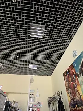 Liza Will online show from 11/14/25, 06:17