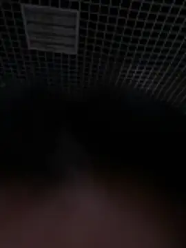 Liza Will online show from 02/20/26, 09:00