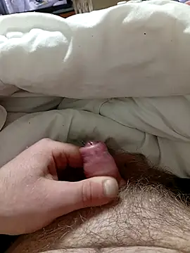 Kubous online show from 12/21/25, 04:41