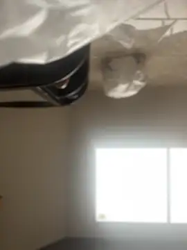 Noa Todokoro online show from 11/14/25, 03:05