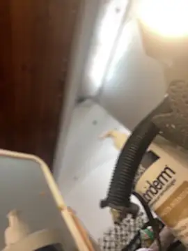 Noa Todokoro online show from 09/16/25, 03:02