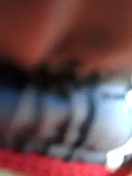 chef82 online show from 01/11/26, 03:08