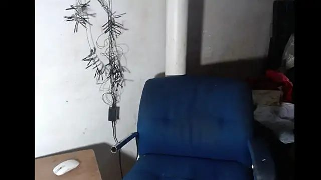 BebaFoxx online show from 02/21/26, 06:37