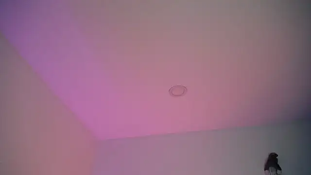 Snapshot of Stepha_babe chatting on 09/08/25, 10:53 Stepha babe online show from 09/08/25, 10:53