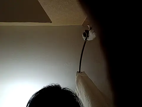 Shemalefucker79 online show from 04/08/26, 11:12