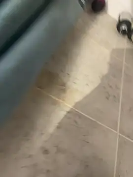 BobKat online show from 01/15/26, 09:12