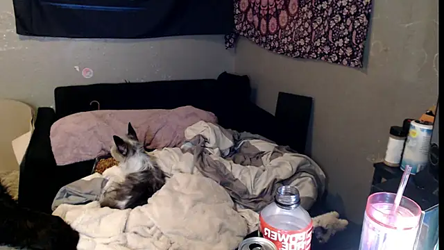 London Ray online show from 11/15/25, 11:47