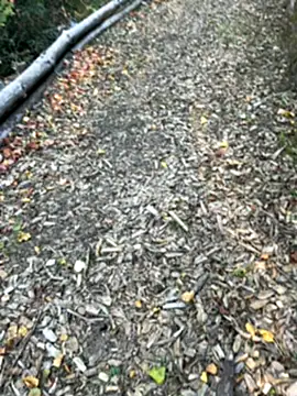 Snapshot of Mlkrrp chatting on 10/10/25, 04:30 Mlkrrp online show from 10/10/25, 04:30