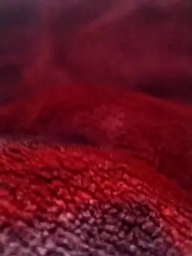 Snapshot of saneer69tew chatting on 02/26/26, 06:13 saneer69tew online show from 02/26/26, 06:13