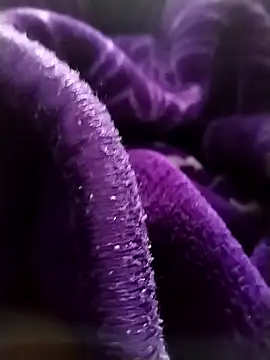 saneer69tew online show from 04/13/26, 06:28