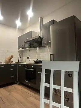 tammy gun online show from 11/19/25, 06:19