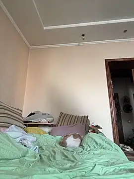 DollyTall online show from 03/19/26, 06:46