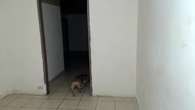 BlondZilla online show from 03/07/26, 07:37