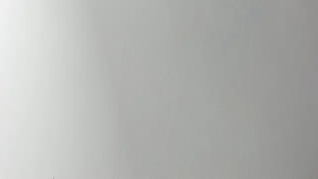 Snapshot of Lady_miss___ chatting on 11/06/25, 12:20 Lady miss online show from 11/06/25, 12:20