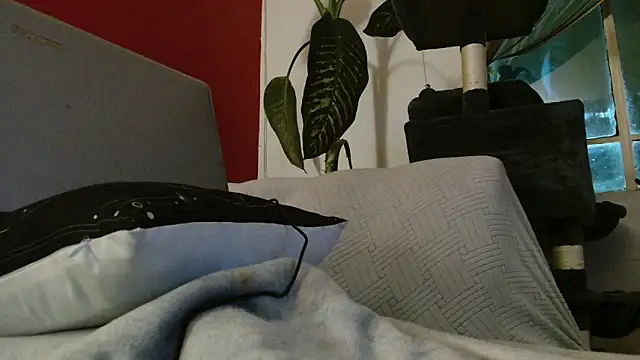 Tulindabonny online show from 03/06/26, 05:02