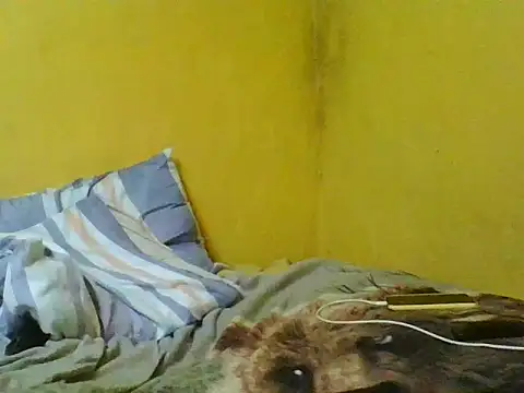 RVJM online show from 11/20/25, 02:23