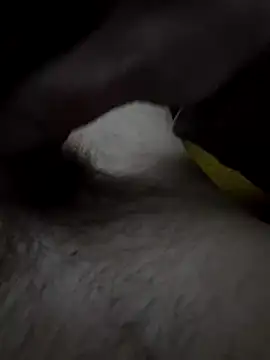 Snapshot of nix95 chatting on 02/01/26, 05:33 nix95 online show from 02/01/26, 05:33