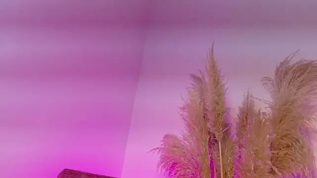 KITY HILL online show from 01/12/26, 04:19