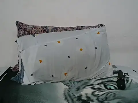 Ta loar online show from 03/24/26, 10:48