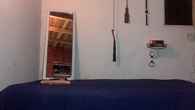 Snapshot of indomitaFox chatting on 02/25/26, 02:56 indomitaFox online show from 02/25/26, 02:56