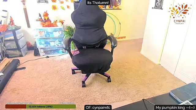 Cynpai online show from 09/30/25, 07:53