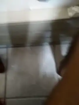 Snapshot of Teeteemyg chatting on 02/05/26, 07:21 Teeteemyg online show from 02/05/26, 07:21