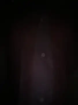 k 111 1 online show from 09/30/25, 03:51