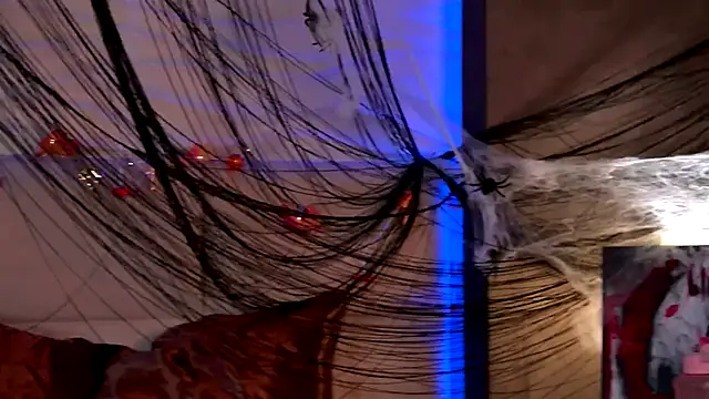 AriWild online show from 11/01/25, 03:57