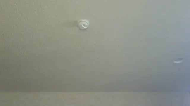 Flossee online show from 04/11/26, 12:18