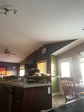 starsaligned online show from 01/06/26, 10:47