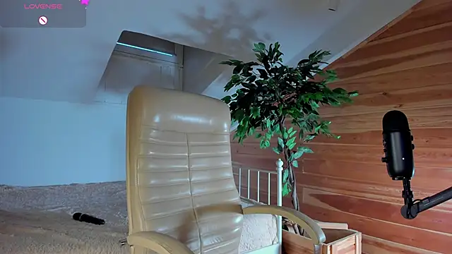 AuroraShoww online show from 11/20/25, 12:50