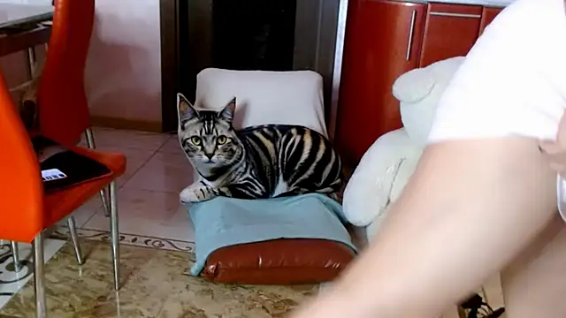 SquirtMilf00 online show from 04/08/26, 03:19