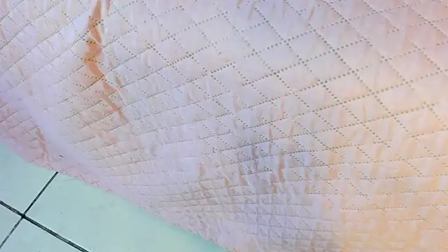  jasmine blush online show from 03/22/26, 01:45