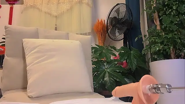 B-Yaya online show from 05/03/26, 09:47