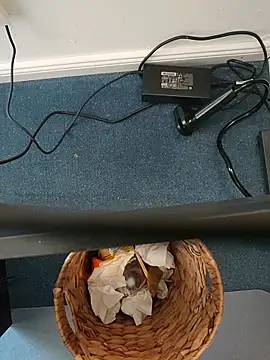 MyDick4You666 online show from 03/05/26, 10:45